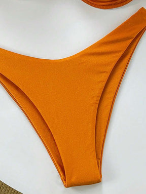Biquíni Brown Elegance